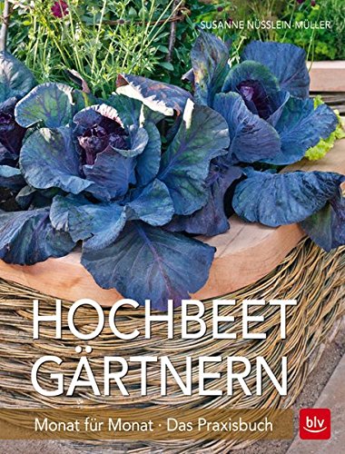 HochbeetGärtnern Monat für Monat Das Praxisbuch Hochbeet Kaufen